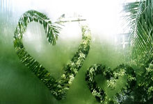 女子跳台滑雪项目激烈角逐，加拿大选手获得金牌