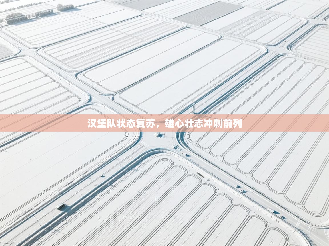 汉堡队状态复苏，雄心壮志冲刺前列  第1张