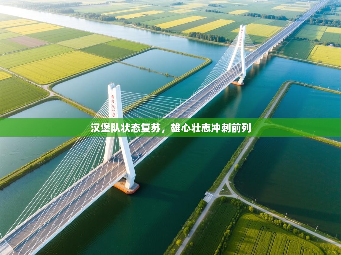 汉堡队状态复苏，雄心壮志冲刺前列  第2张