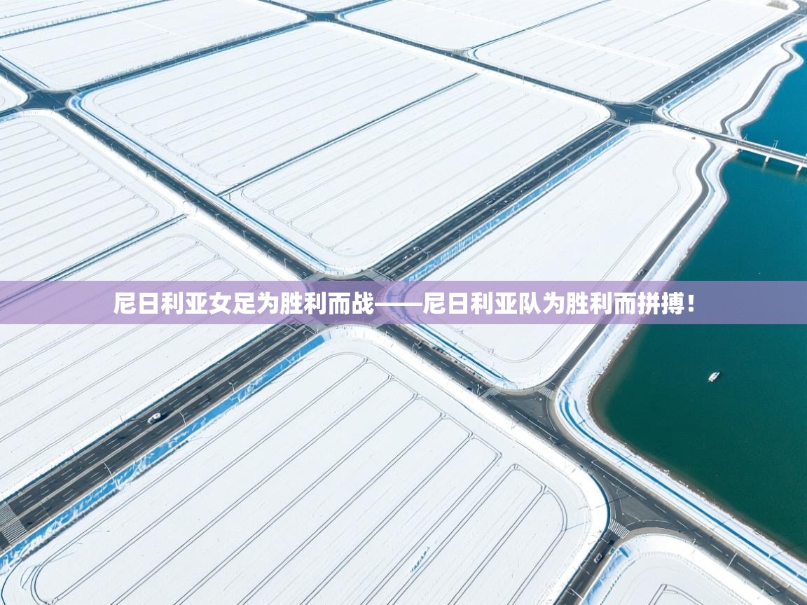 尼日利亚女足为胜利而战——尼日利亚队为胜利而拼搏！