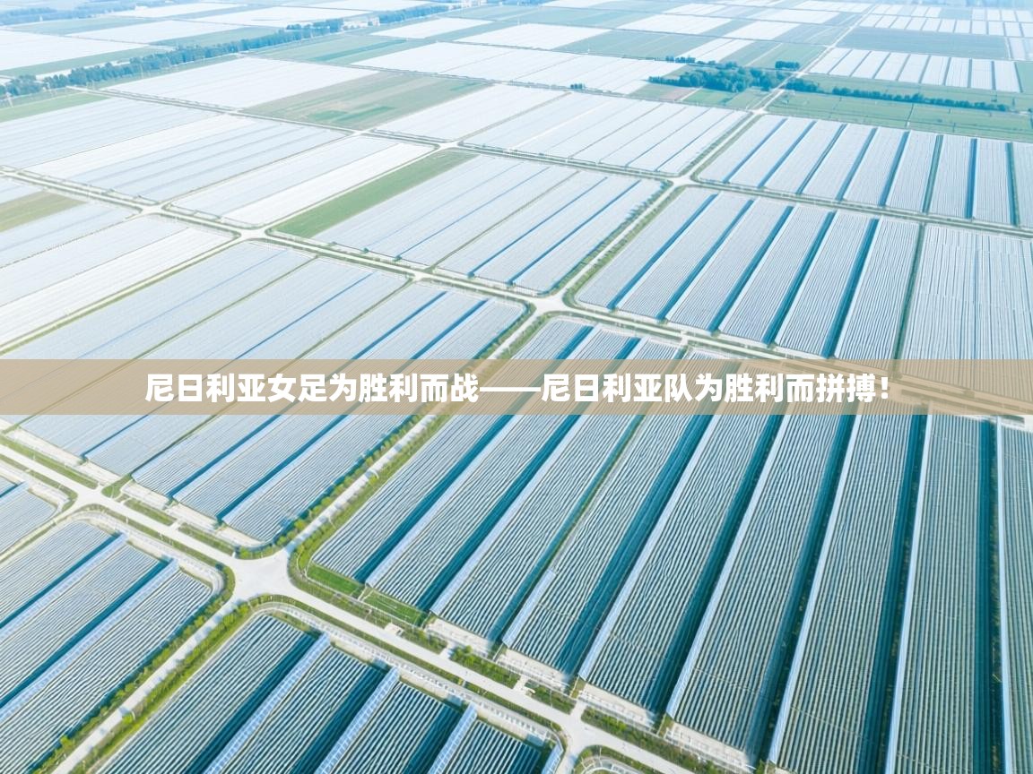 尼日利亚女足为胜利而战——尼日利亚队为胜利而拼搏！  第2张