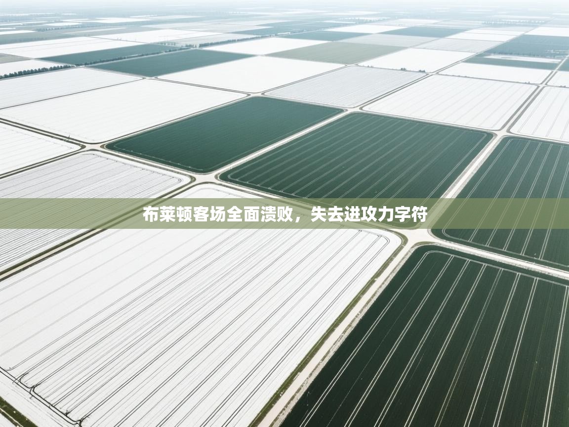 布莱顿客场全面溃败，失去进攻力字符  第1张