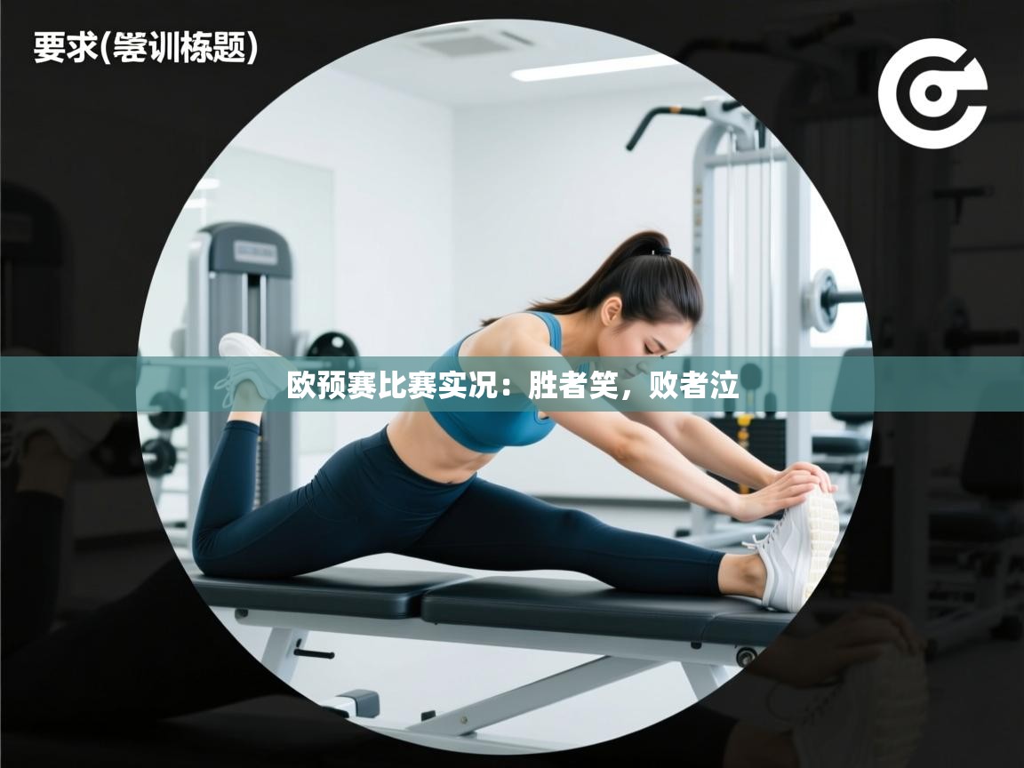 欧预赛比赛实况:胜者笑,败者泣 第1张