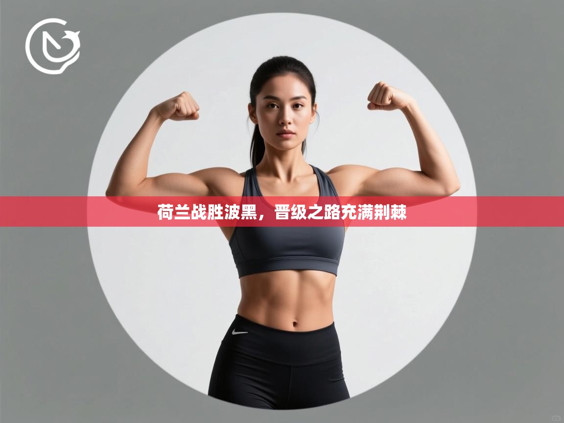 荷兰战胜波黑，晋级之路充满荆棘  第2张