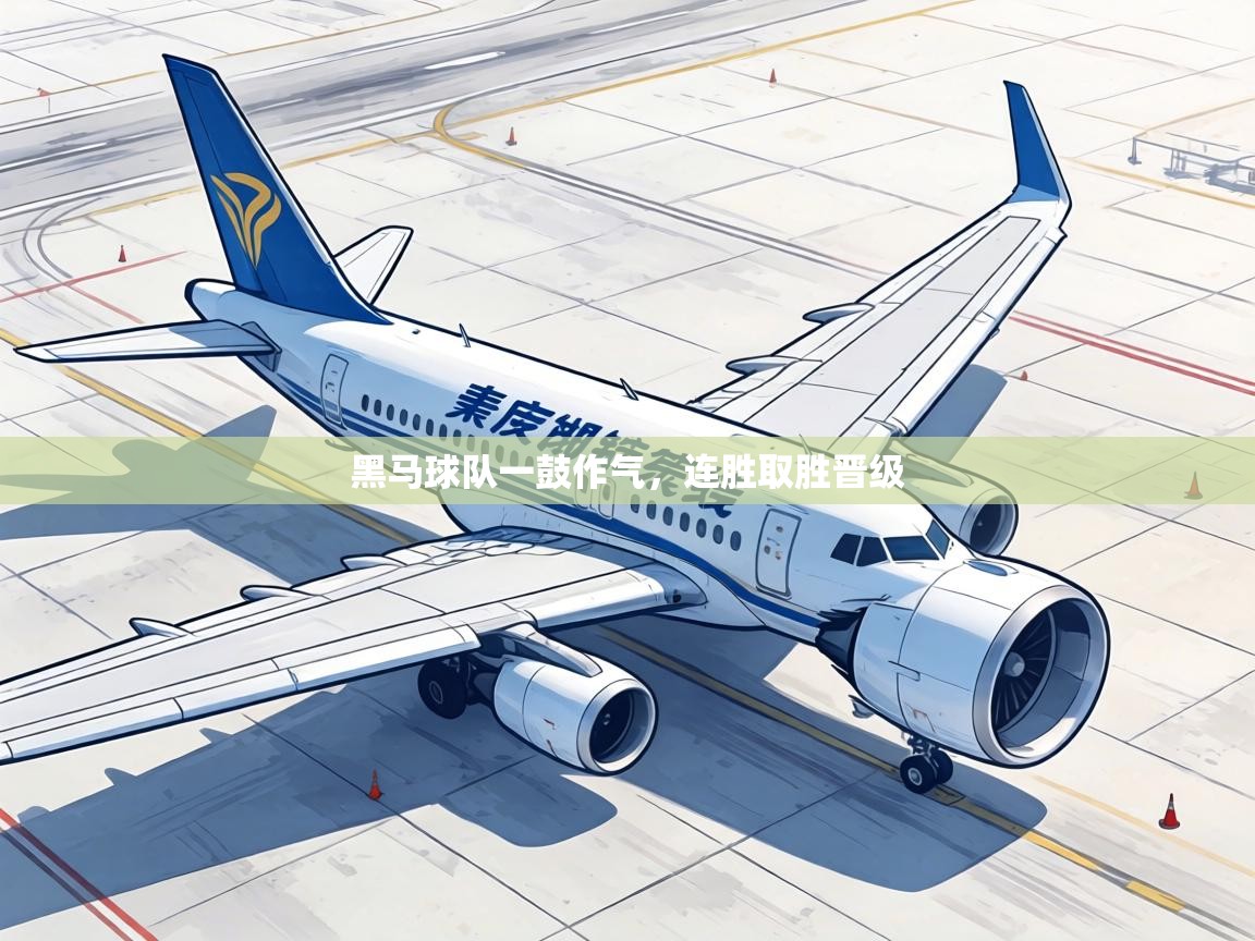 黑马球队一鼓作气,连胜取胜晋级 第2张